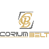 CORIUM BELT DERI SAN. TIC. LTD. STI.