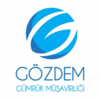 GOZDEM CUSTOMS BROKERAGE