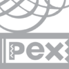 PEX LTD