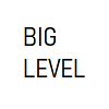 BIG LEVEL