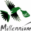 MILLENNIUM CONSULTANTS